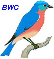 bwc-bluebird.jpg